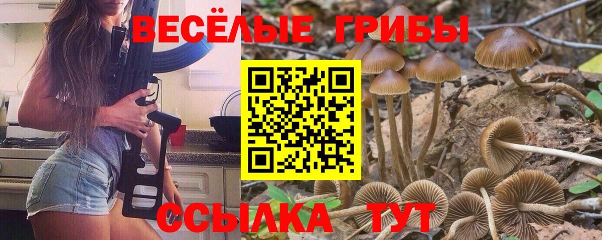 Галлюциногенные грибы мухоморы  где можно купить   Узловая  Вход с VPN 